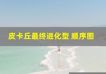 皮卡丘最终进化型 顺序图